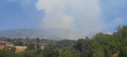 Datça ve Çeşme'de orman yangını. Evler tahliye ediliyor!